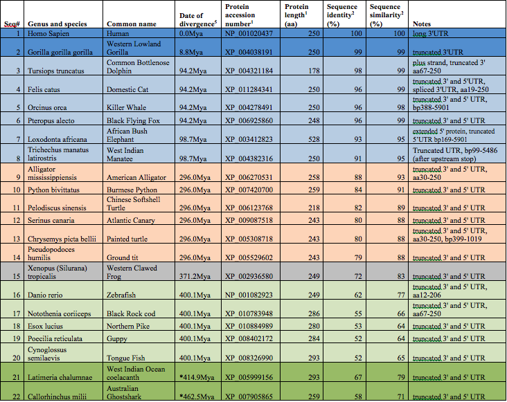 File:C3orf70 Orthologs.png