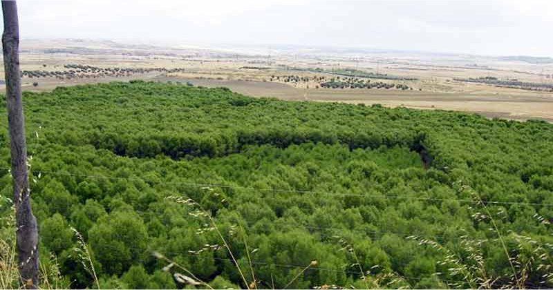 File:Campo-getafe.jpg