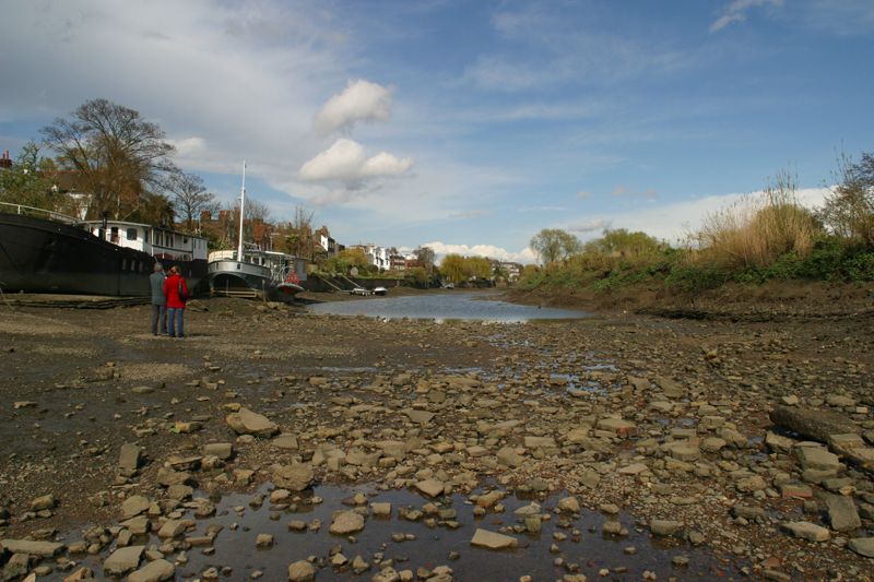 File:Chiswick Eyot channel at low tide.jpg