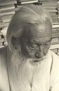 File:HamSeokheon readingBooks (cropped).JPG