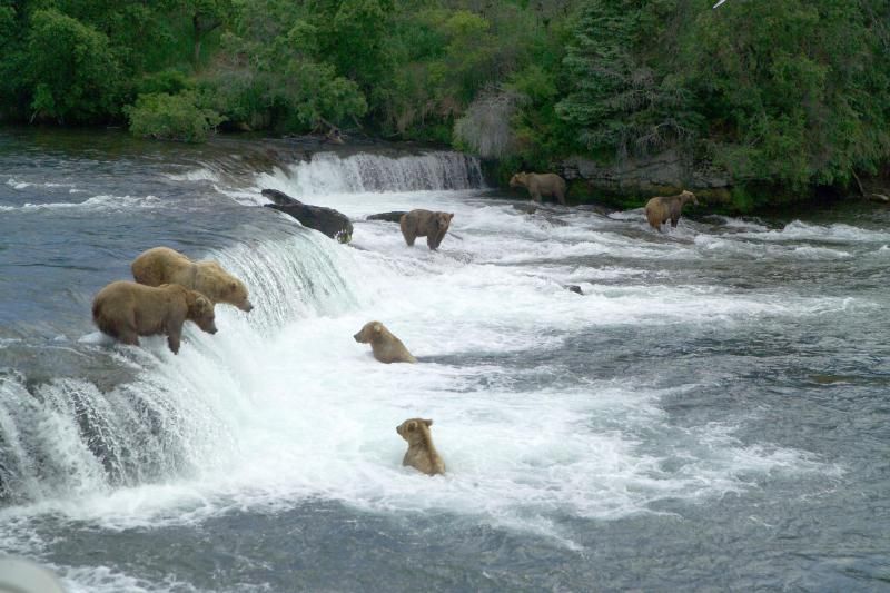 File:Katmai National Park and Preserve Brooks Falls.jpg