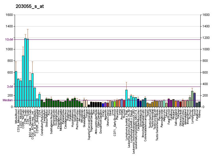 File:PBB GE ARHGEF1 203055 s at fs.png