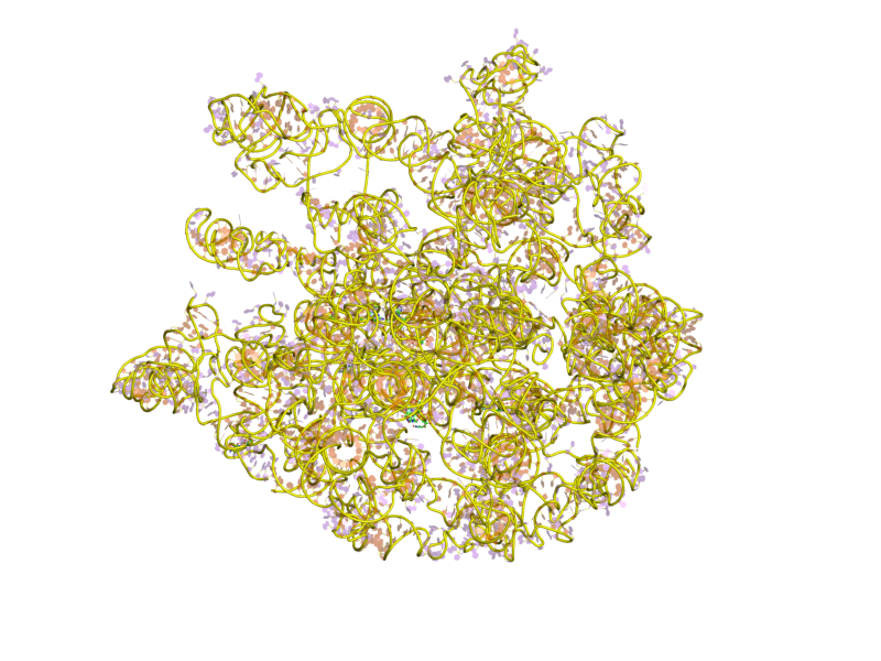 File:PDB 1c2w EBI.png