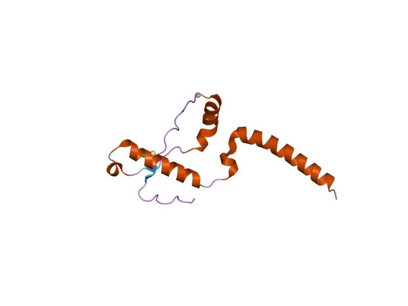 File:PDB 1i4m EBI.jpg