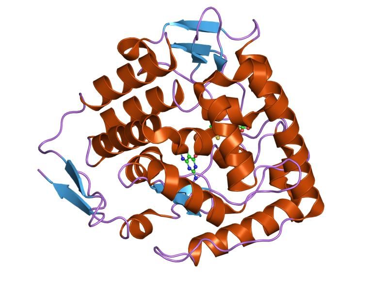 File:PDB 1kw0 EBI.jpg