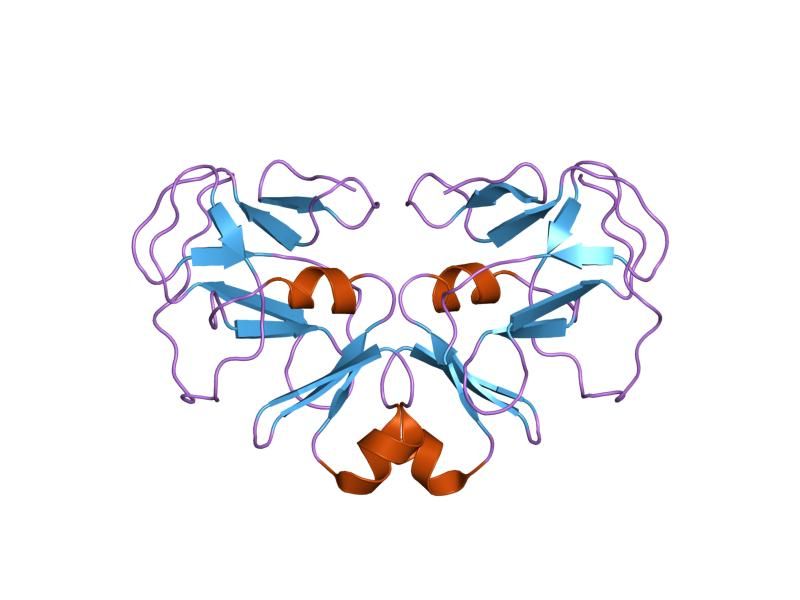 File:PDB 1n3j EBI.jpg