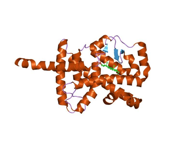 File:PDB 1s0x EBI.jpg