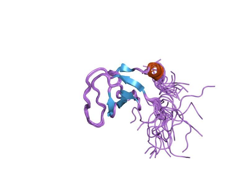 File:PDB 1ujy EBI.jpg