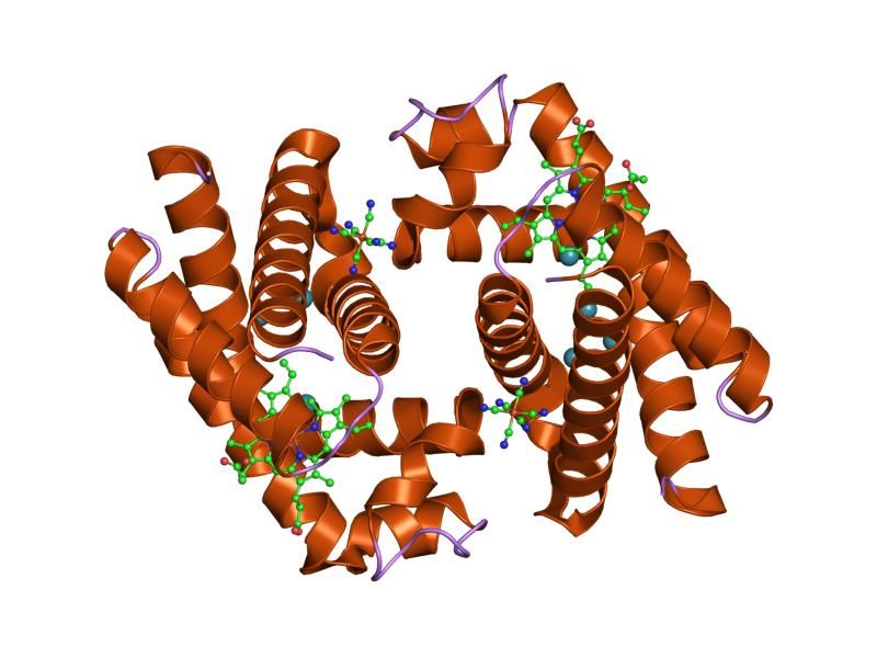 File:PDB 1ury EBI.jpg