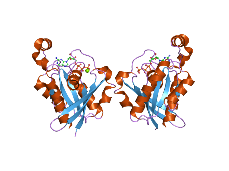 File:PDB 2cls EBI.png