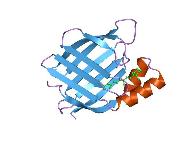 File:PDB 2fr3 EBI.jpg