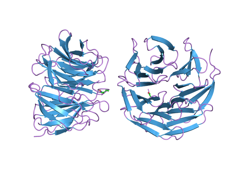 File:PDB 2h9n EBI.png