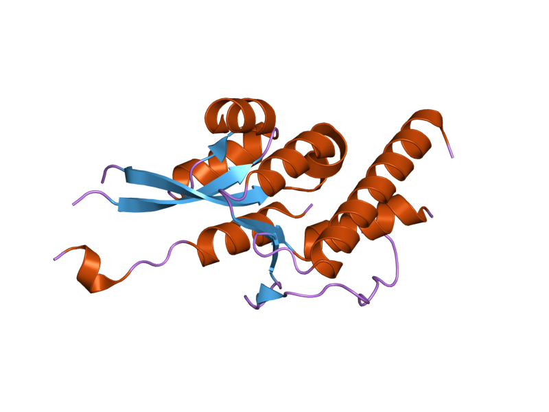 File:PDB 2hwx EBI.png