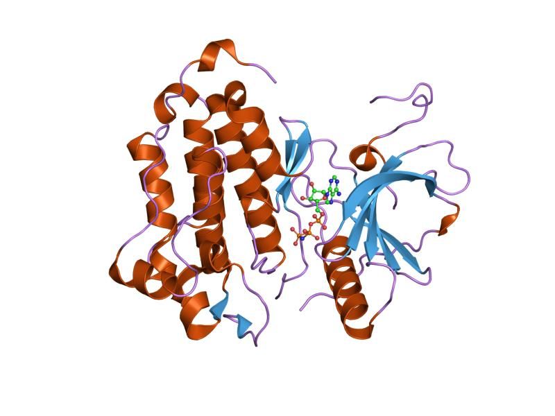 File:PDB 2itx EBI.jpg