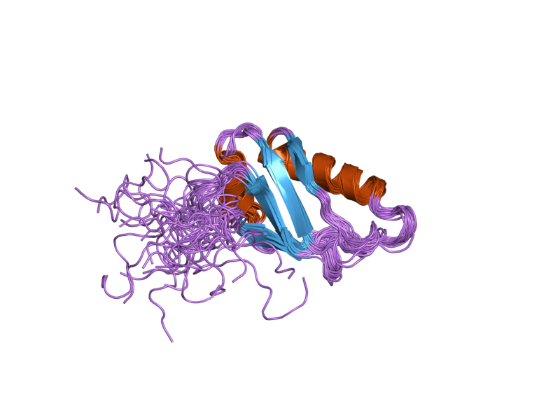 File:PDB 2nlw EBI.png