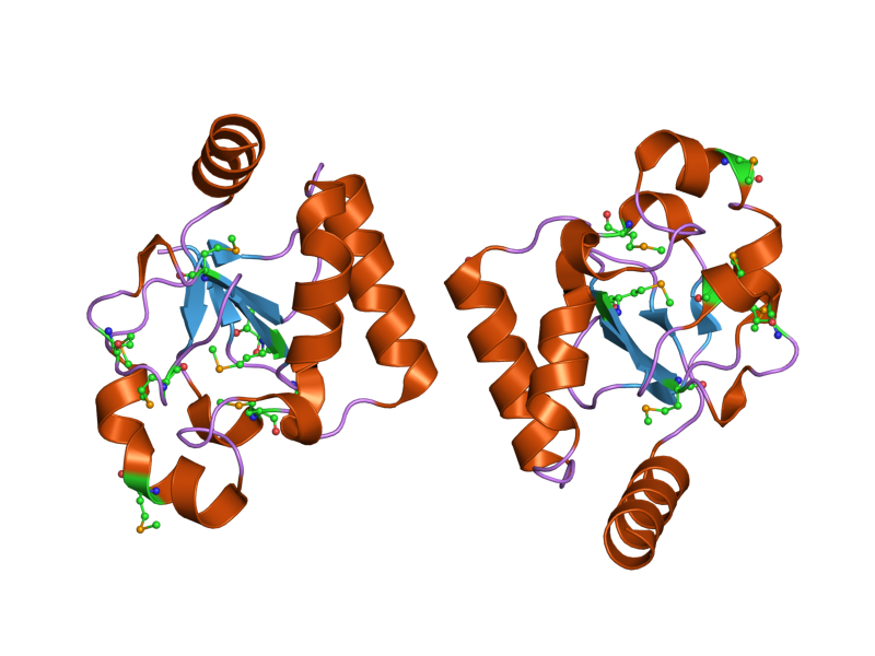 File:PDB 2ogb EBI.png