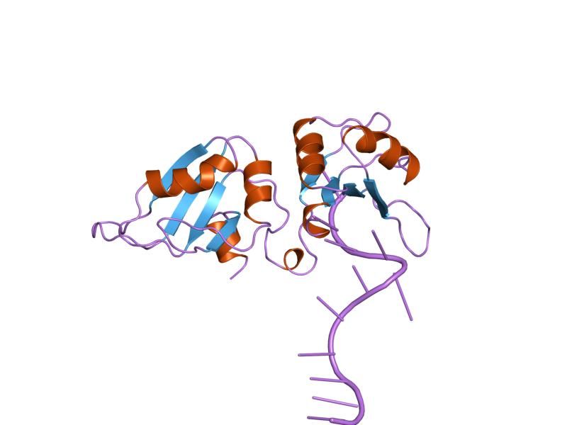 File:PDB 2up1 EBI.jpg