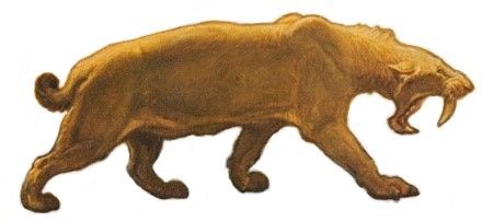 File:Smilodon fatalis Knight (white background).jpg