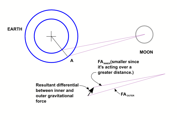 File:Tide moon gravity differential.png