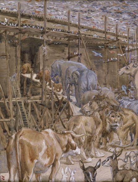 File:Tissot The Animals Enter the Ark.jpg