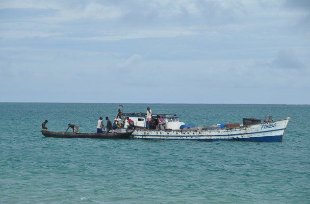 File:Transporting illegal rosewood 001.jpg