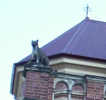 File:Cat-on-the-Roof.jpg