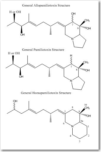 File:GeneralStructures.jpg