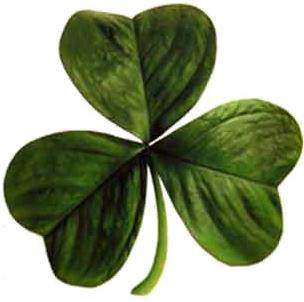 File:Irish clover.png