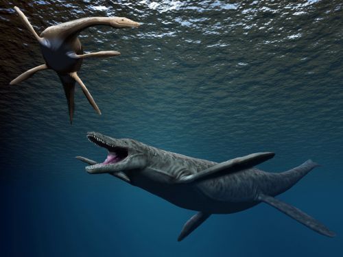 File:Kronosaurus2 NT.jpg