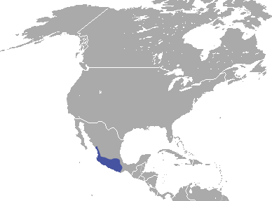 File:Mexican Cottontail area.png