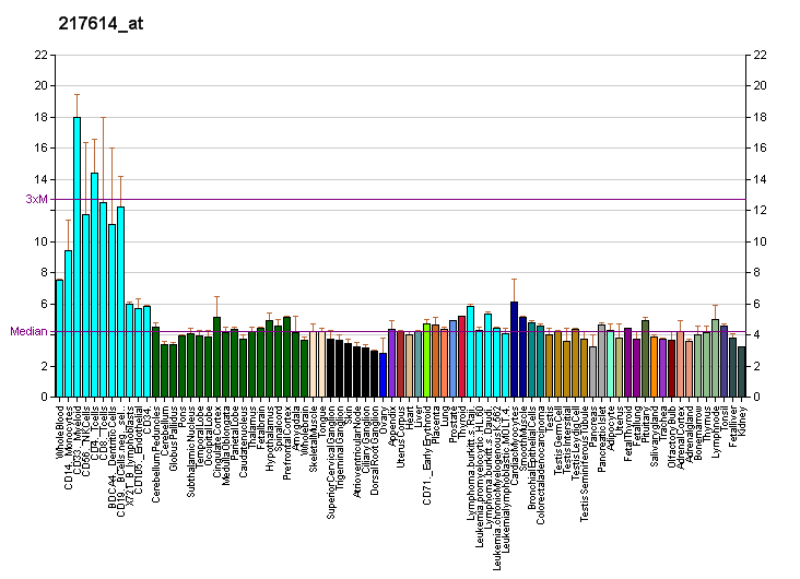 File:PBB GE HMHA1 217614 at fs.png