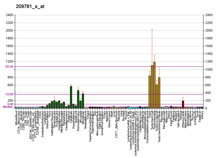 File:PBB GE KHDRBS3 209781 s at fs.png