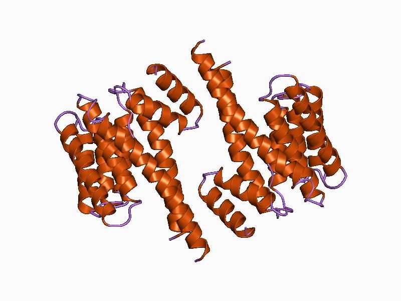 File:PDB 1a38 EBI.jpg