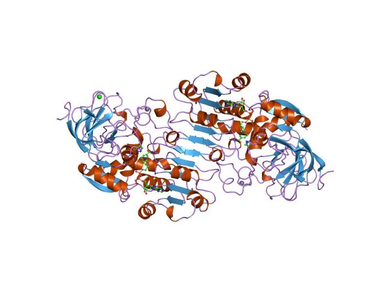 File:PDB 1htb EBI.jpg