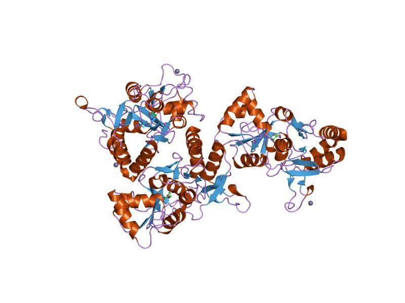 File:PDB 1mm7 EBI.jpg