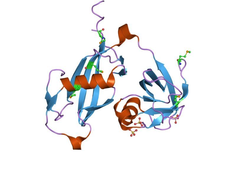 File:PDB 1qcs EBI.jpg