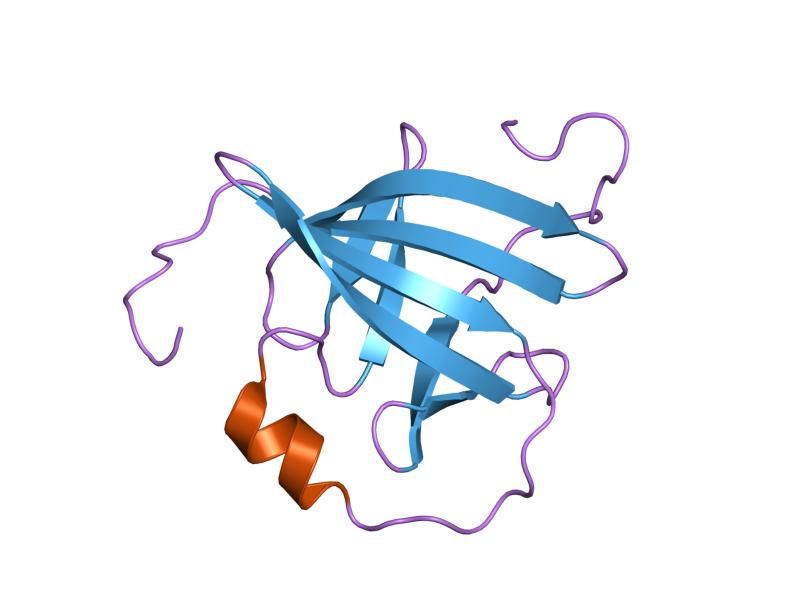 File:PDB 1qtu EBI.jpg