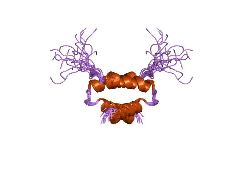 File:PDB 1r2a EBI.jpg