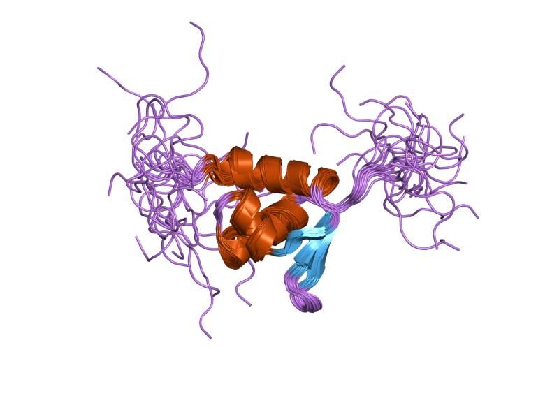 File:PDB 1ufm EBI.jpg