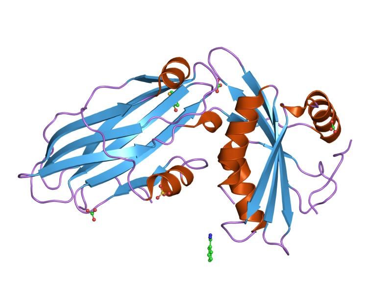 File:PDB 1w80 EBI.jpg