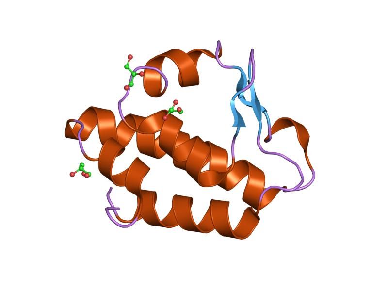 File:PDB 2ccq EBI.jpg