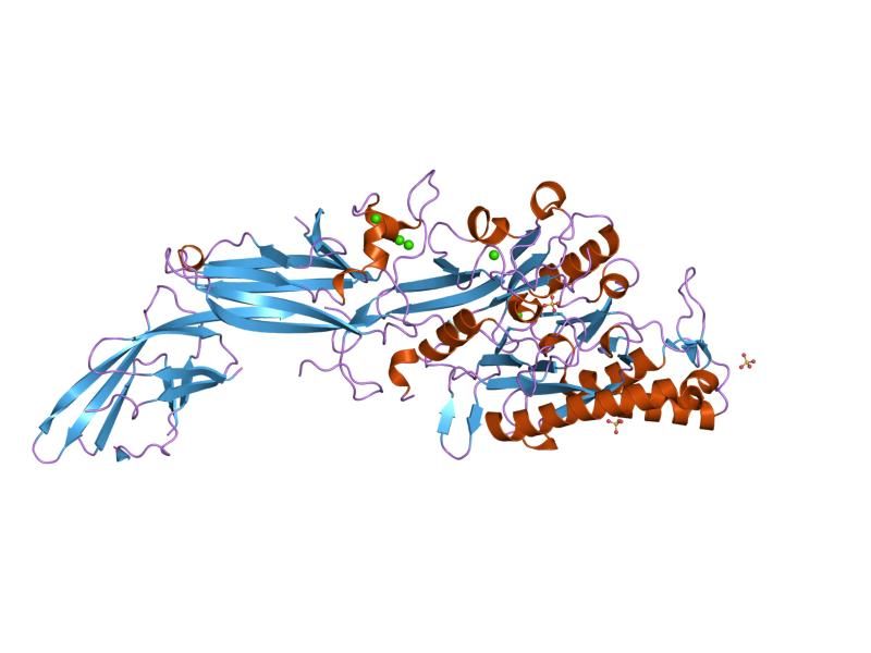 File:PDB 2dew EBI.jpg