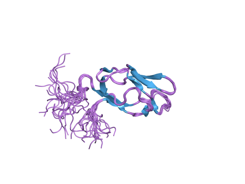 File:PDB 2dnc EBI.png