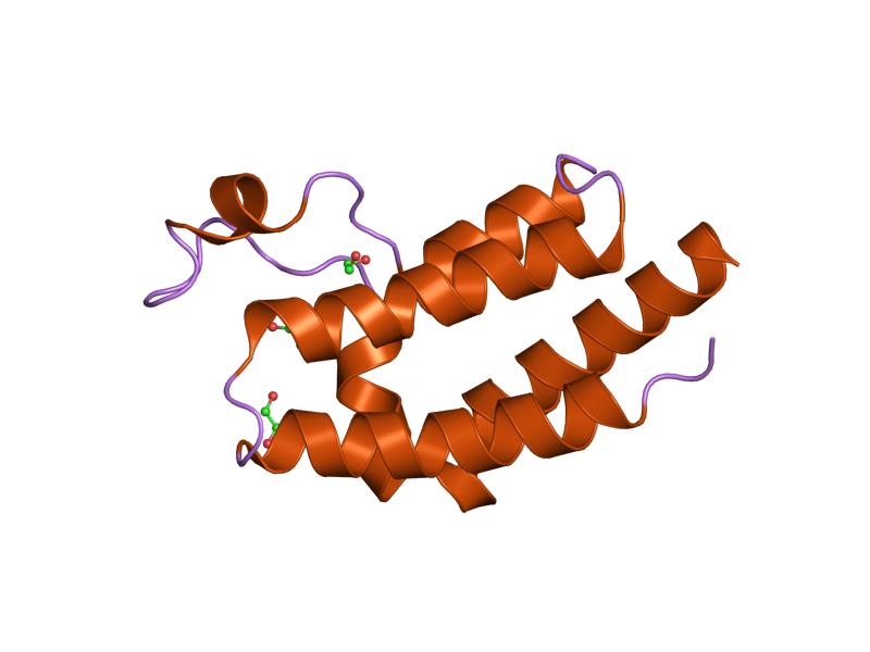 File:PDB 2ouo EBI.png