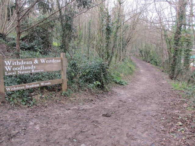 File:Withdean Stadium Woods (geograph 3818901).jpg