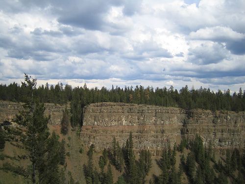 File:Chasm Provincial Park trees and flood basalts.jpg