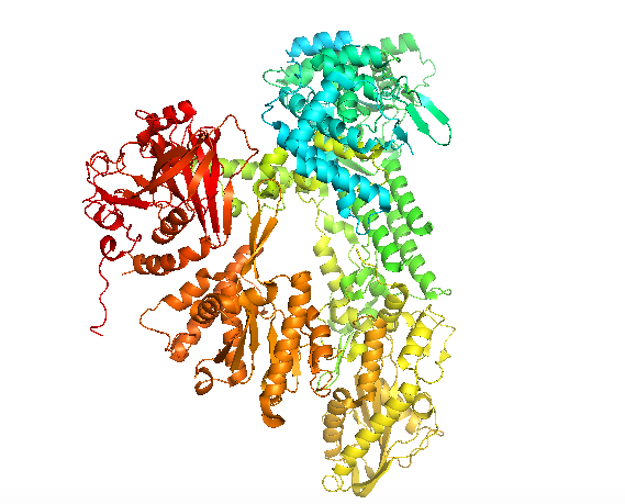 File:Crystal Structure of Prp8.png