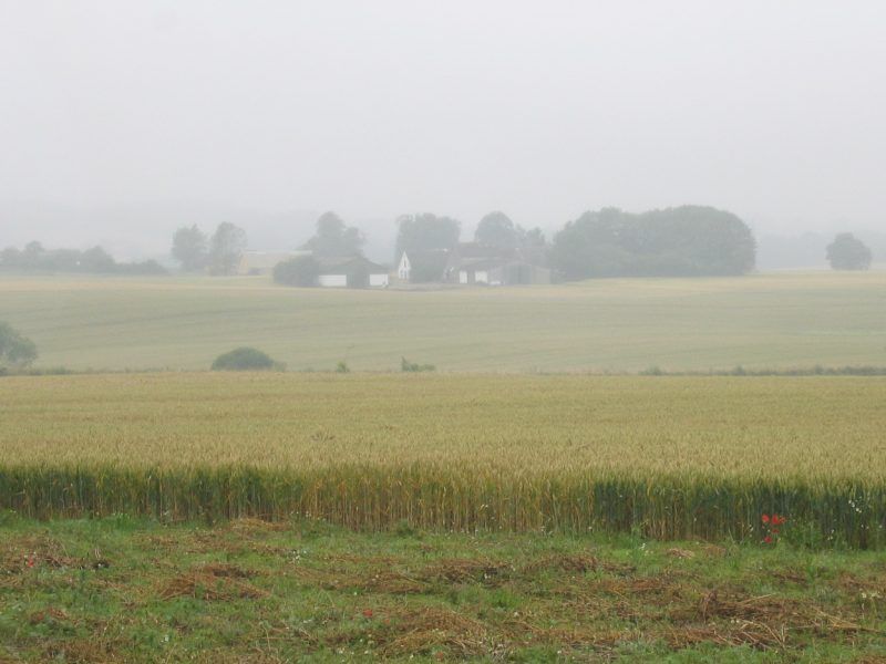 File:Lejre-brume.jpg