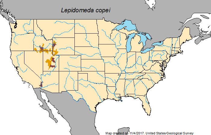 File:Lepidomeda copei map.png