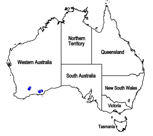 File:Map.Dicrastylis capitellata.jpg